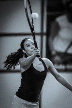 Ausschnitte 3210 - Schirnau-Cup